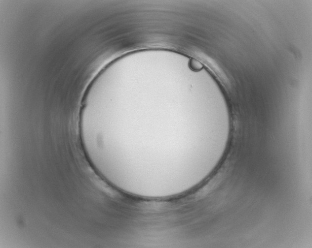 X0000115501236200911271403