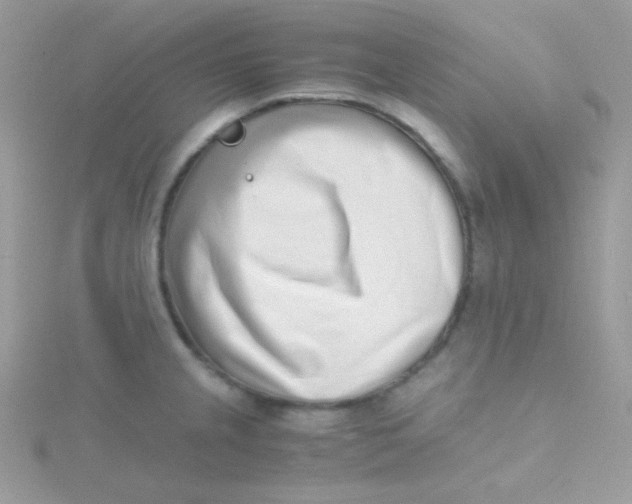 X0000115501237200911271403