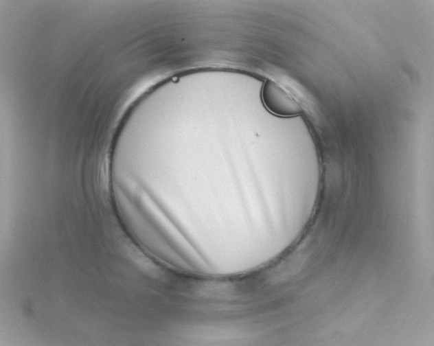 X0000115501238200911271403