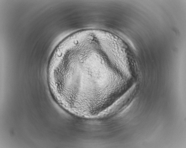 X0000115501239200911271403