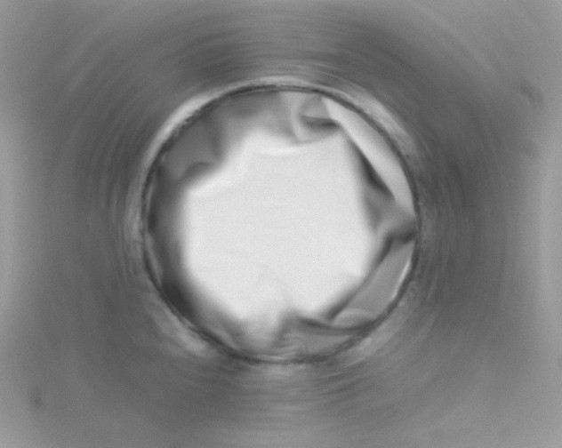 X0000115501240200911271403