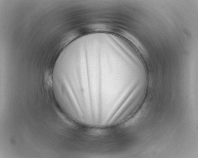 X0000115501241200911271403