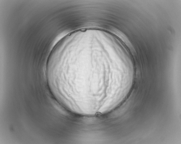 X0000115501242200911271403