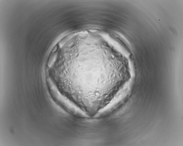 X0000115501243200911271403