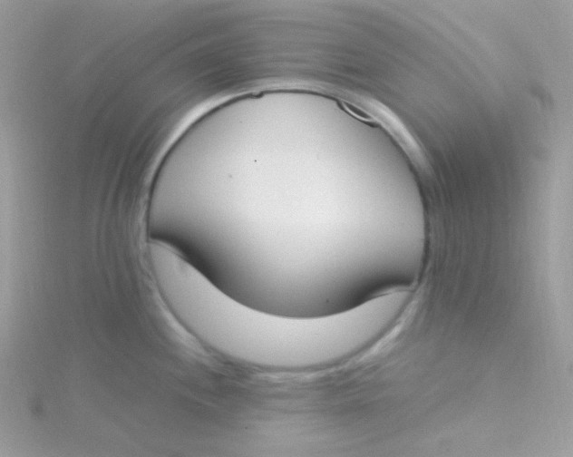 X0000115501244200911271403