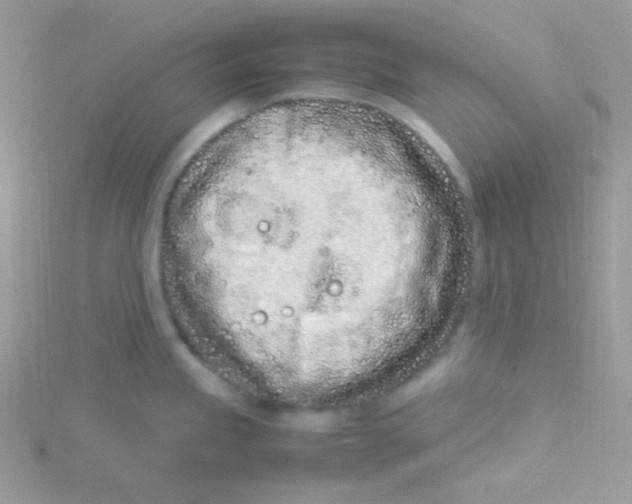 X0000115501245200911271403