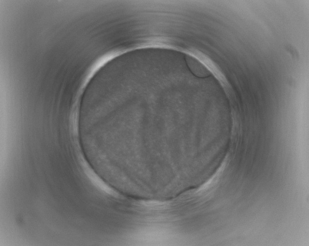 X0000115501246200911271403