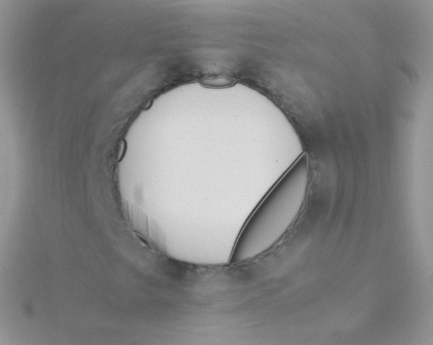 X0000115501249200911271402