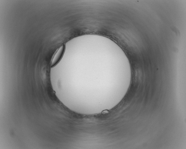 X0000115501250200911271402