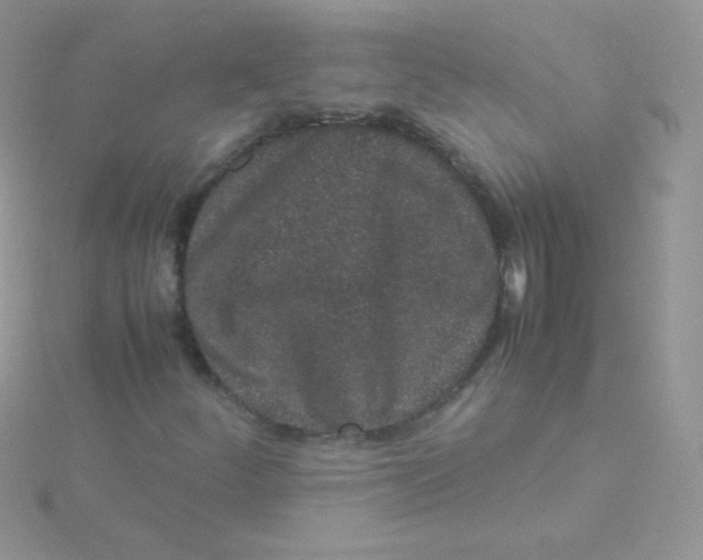 X0000115501252200911271402