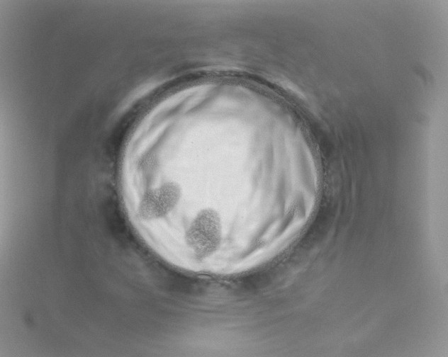 X0000115501255200911271402