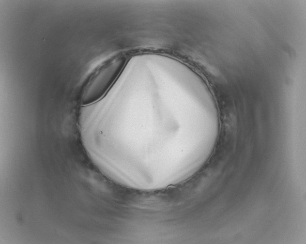 X0000115501256200911271402