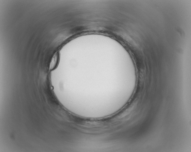 X0000115501257200911271402