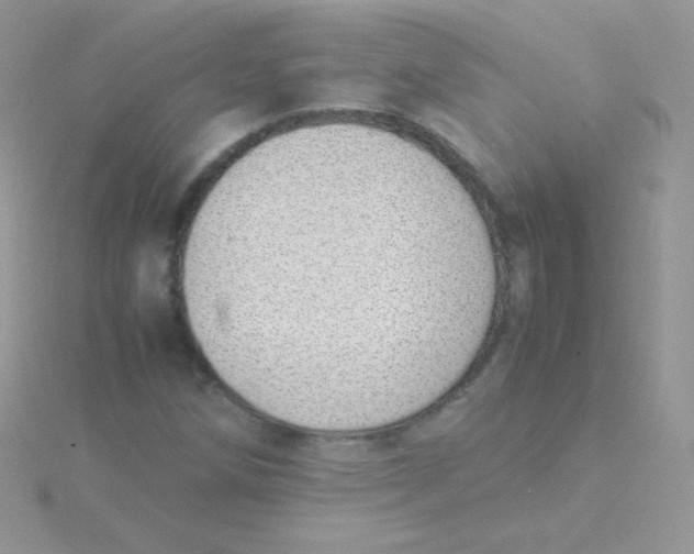 X0000115501258200911271402