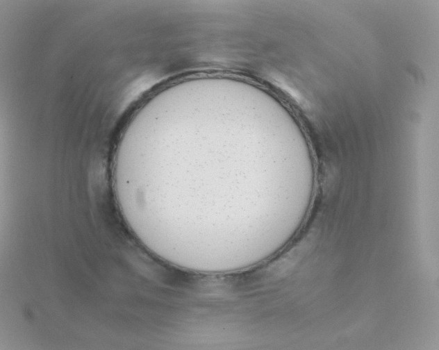 X0000115501259200911271402