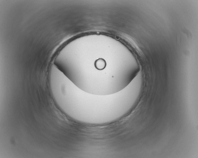 X0000115501260200911271402