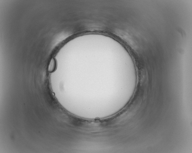 X0000115501261200911271402