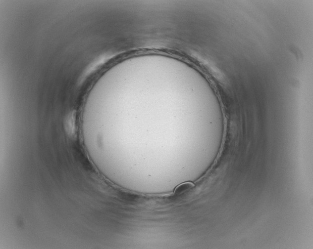 X0000115501262200911271402