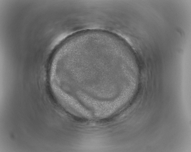 X0000115501263200911271402