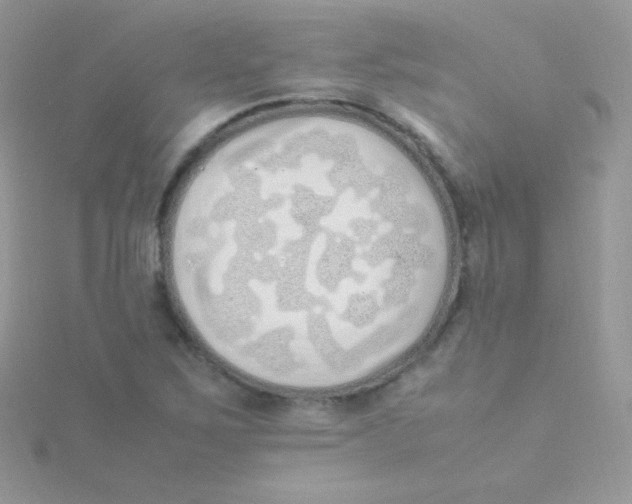 X0000115501267200911271402