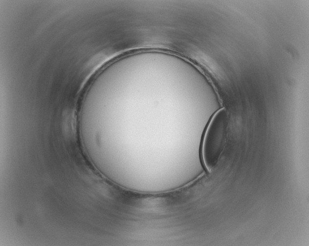 X0000115501268200911271402