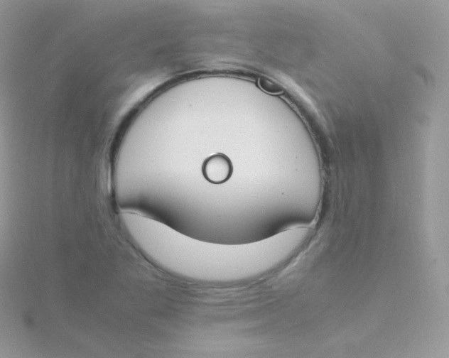 X0000115501269200911271402