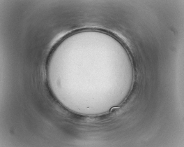 X0000115501271200911271402