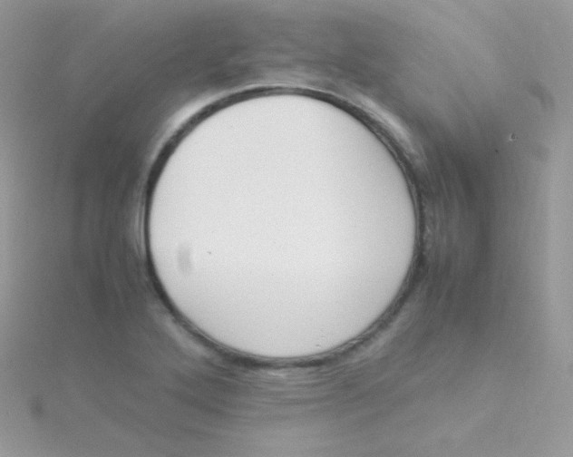 X0000115501272200911271402