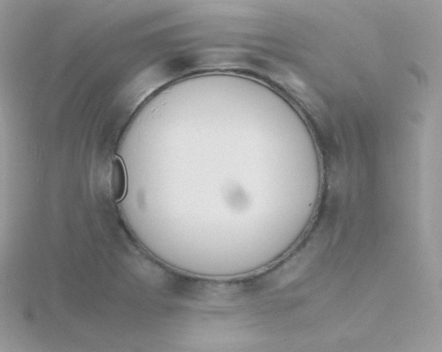 X0000115501273200911271402