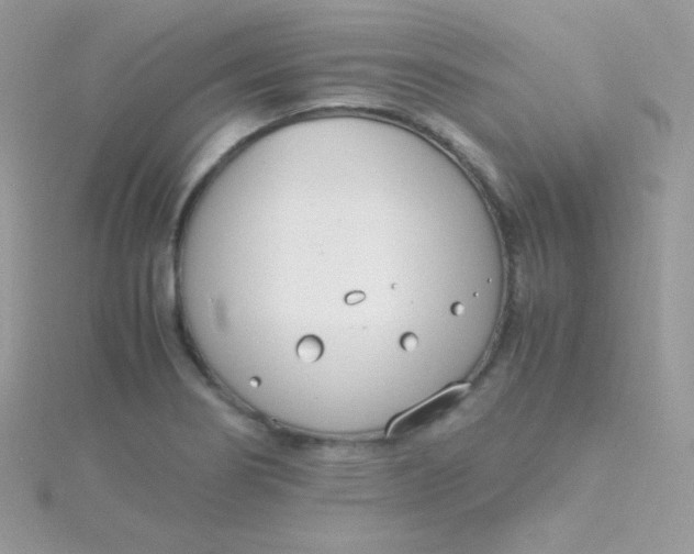 X0000115501274200911271402