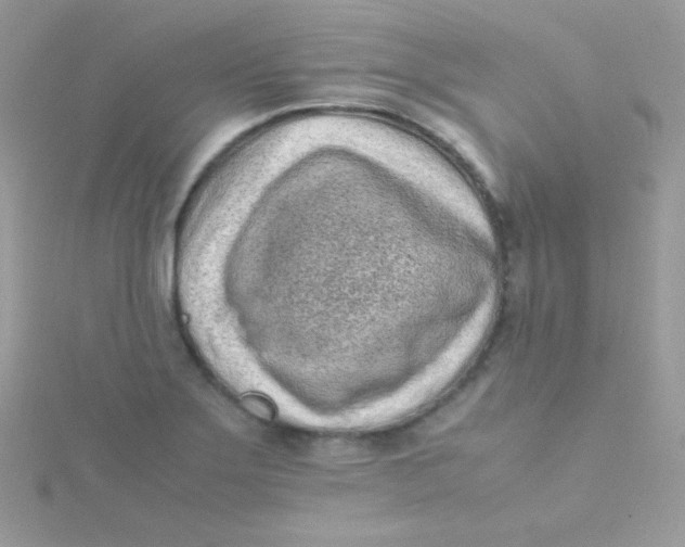 X0000115501275200911271402