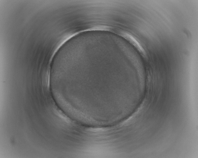 X0000115501276200911271402