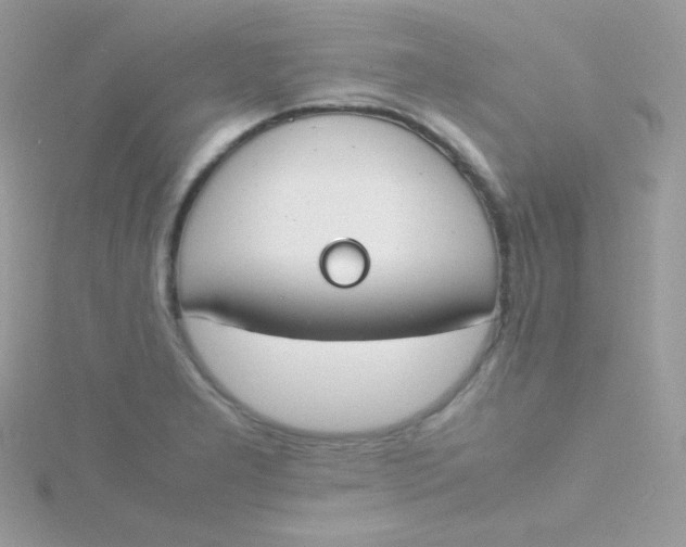 X0000115501277200911271402