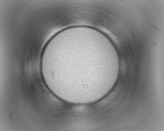 X0000115501278200911271402