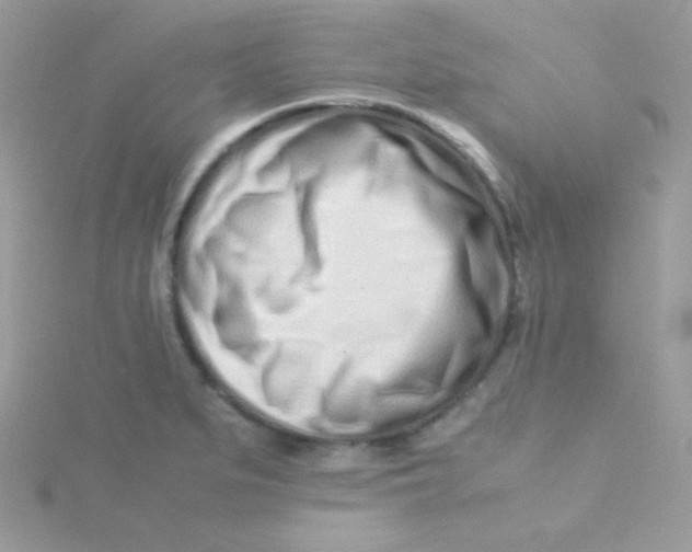 X0000115501279200911271402