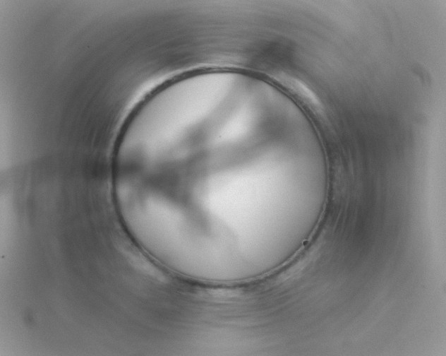 X0000115501280200911271402