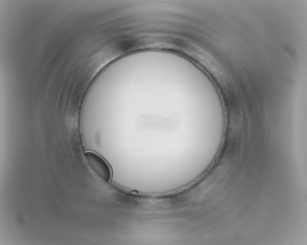 X0000115501281200911271402