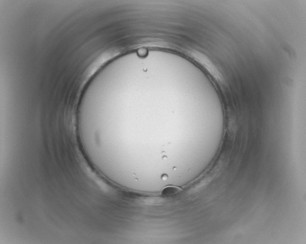 X0000115501282200911271402