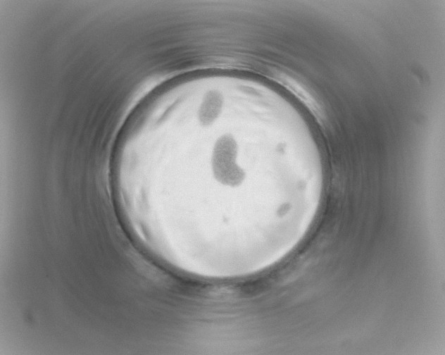 X0000115501283200911271402