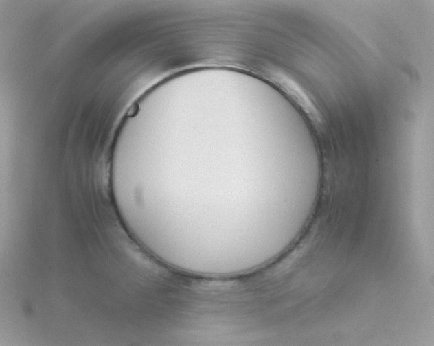 X0000115501284200911271402