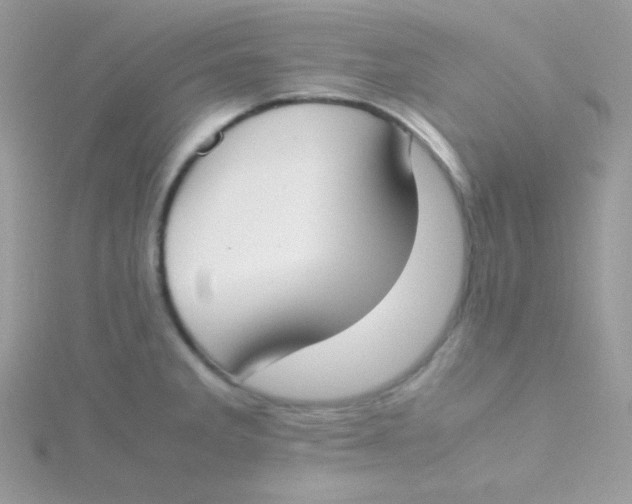 X0000115501285200911271402