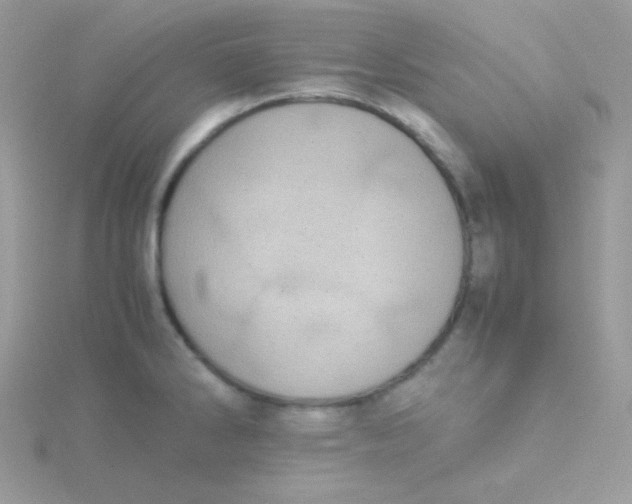 X0000115501286200911271402