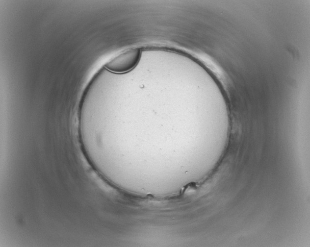 X0000115501287200911271402