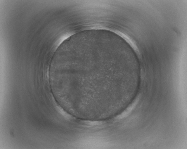 X0000115501289200911271402