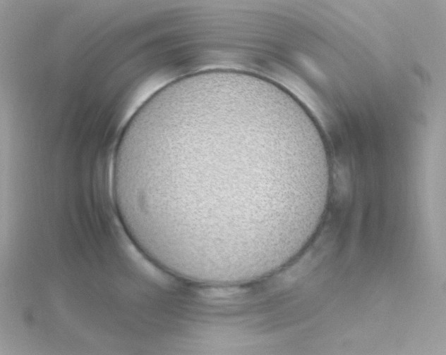 X0000115501290200911271402