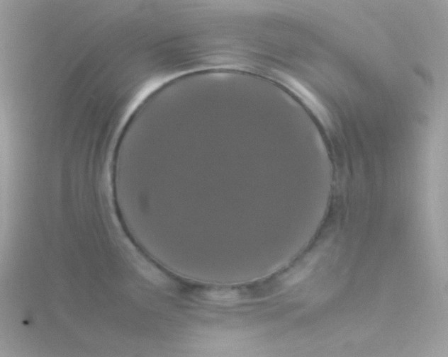 X0000115501291200911271402