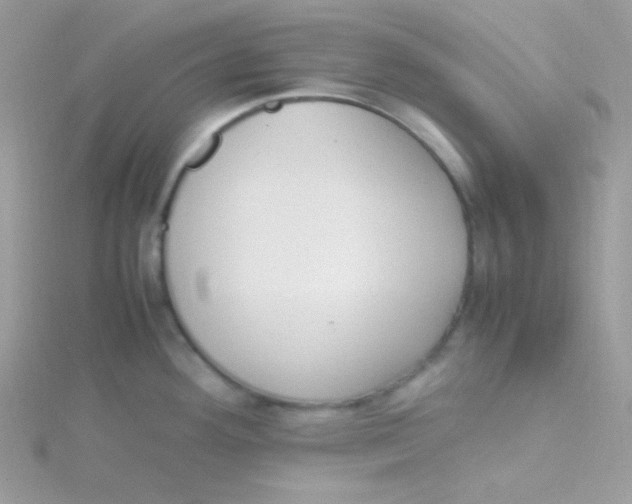 X0000115501292200911271402