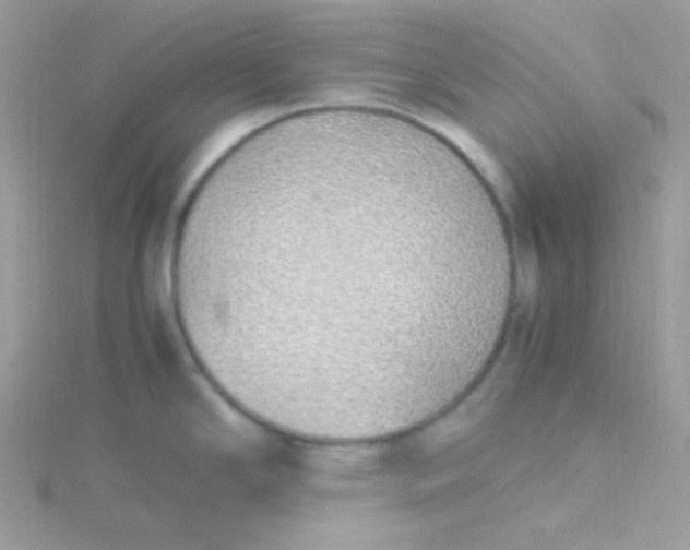 X0000115501294200911271402