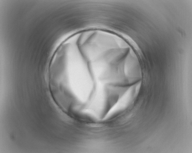 X0000115501295200911271402