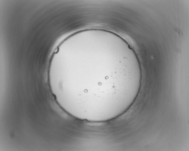 X0000115501296200911271402